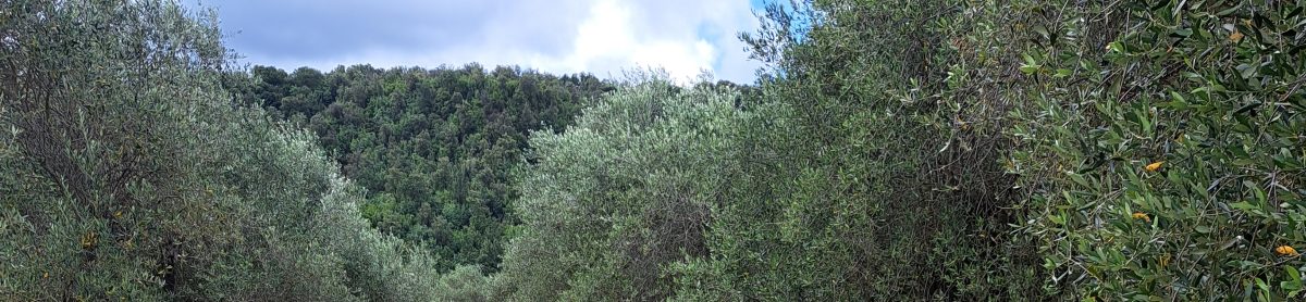 L'Olio di Nonno Fabri